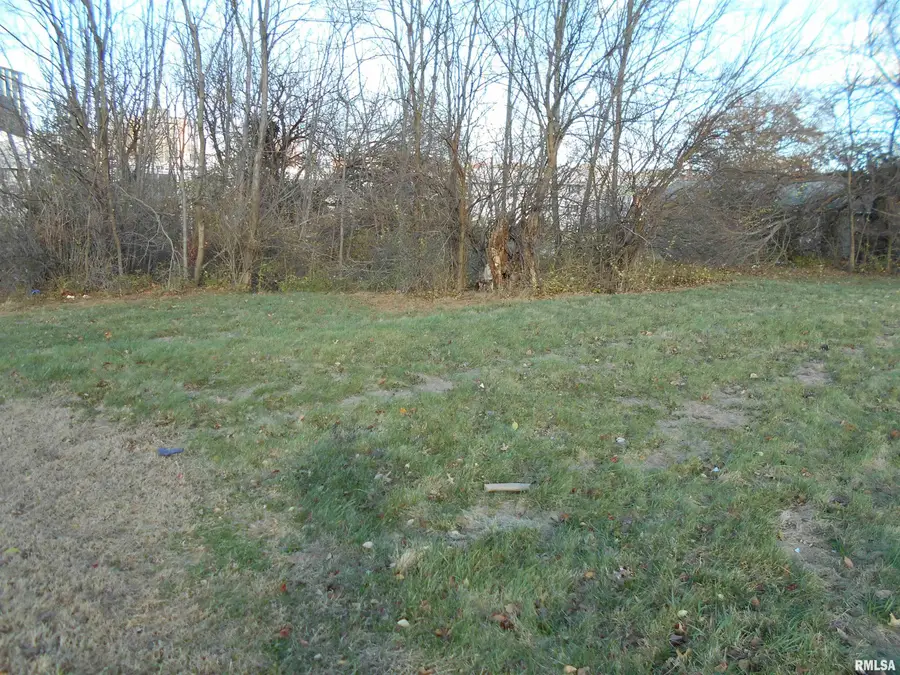 531 W Elting Street, Macomb, IL 61455 - #2