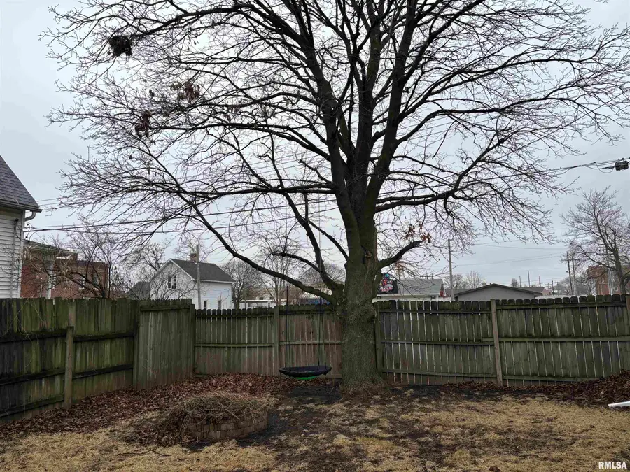 506 E Elm Street, Canton, IL 61520 - #2