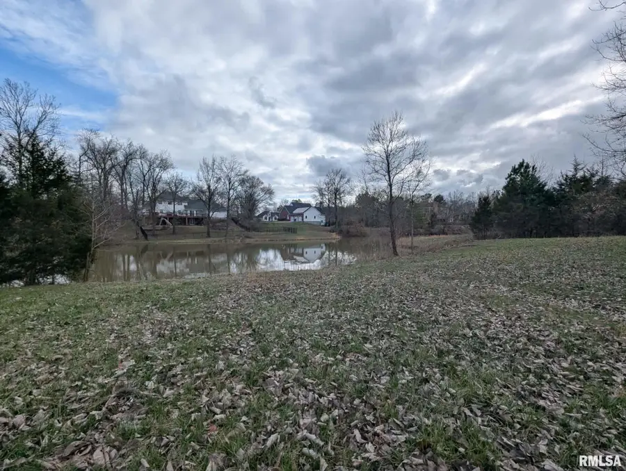 69 David Livingstone Drive, Carterville, IL 62918 - #2