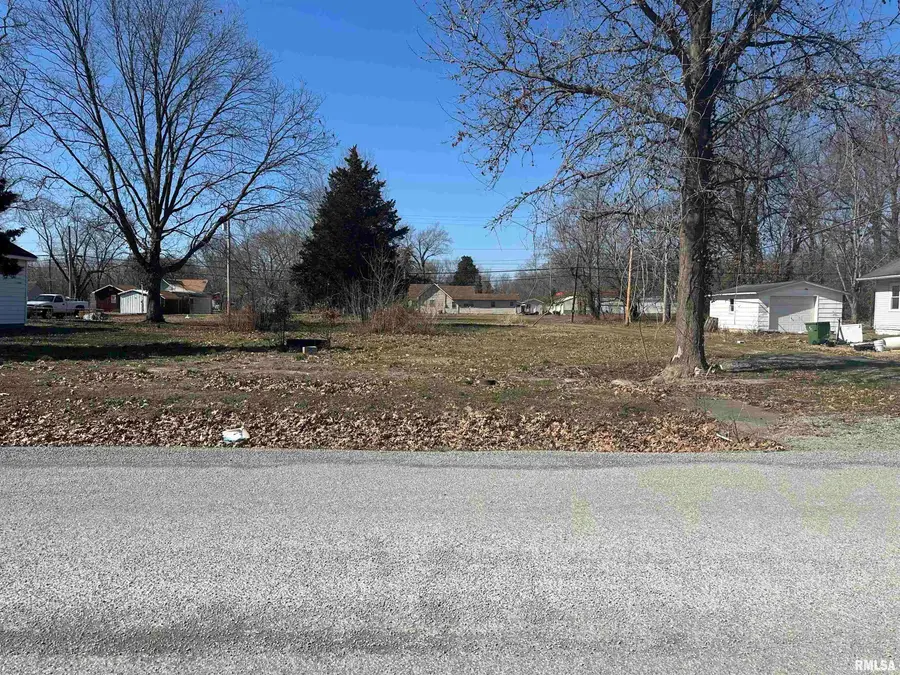 TBD N 6th Street, Elkville, IL 62932 - #2