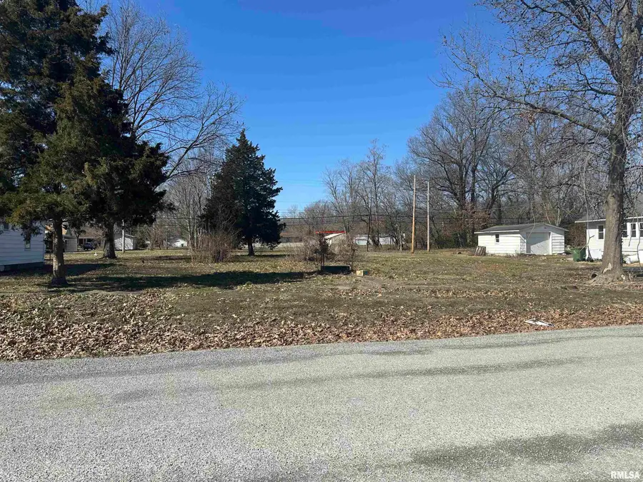 TBD N 6th Street, Elkville, IL 62932 - #3