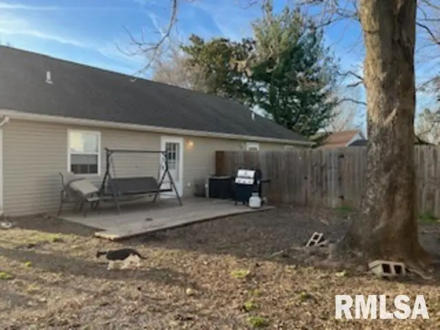 1105 S Mechanic Street, Marion, IL 62959-1105 - #3