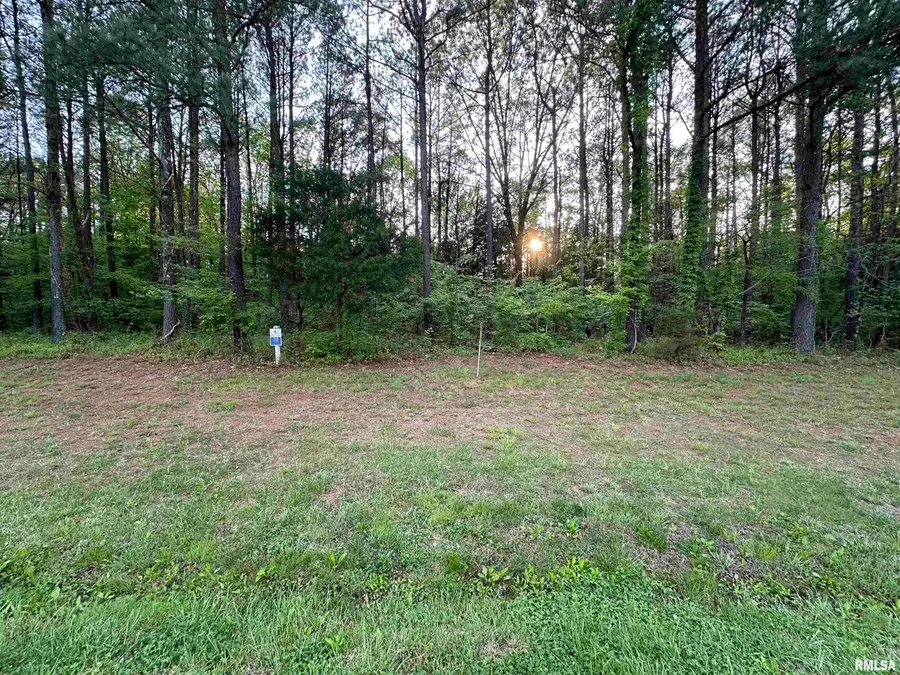 2385 Parrish Ridge Lane, Goreville, IL 62948-9999 - #3