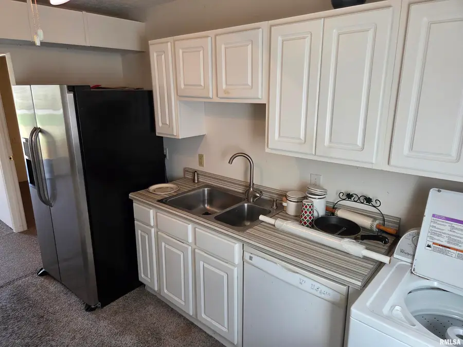 156 Karen Ann Lane, Carrier Mills, IL 62917 - #3