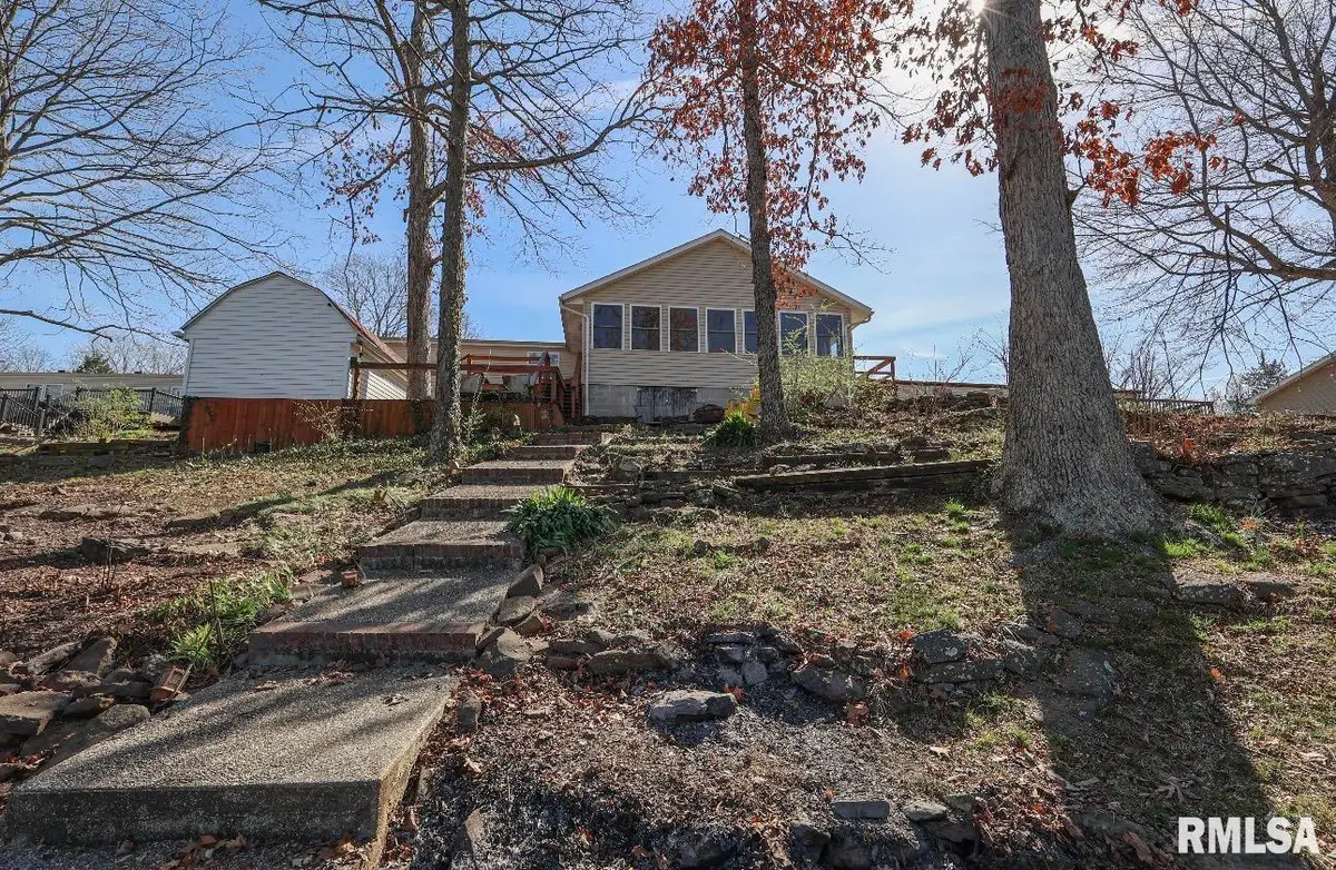 50 Shaw Road, Creal Springs, IL 62922 - #1