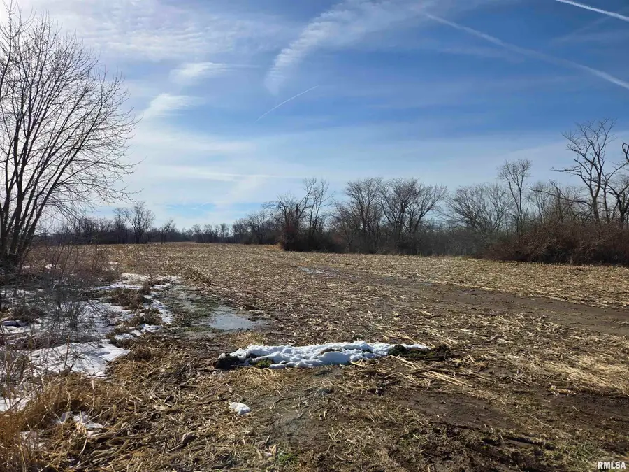 2460 N County Road 2500 E Road, La Harpe, IL 61450 - #3