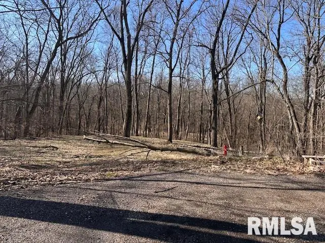 16 Londonderry Lane, Mackinaw, IL 61755 - #1