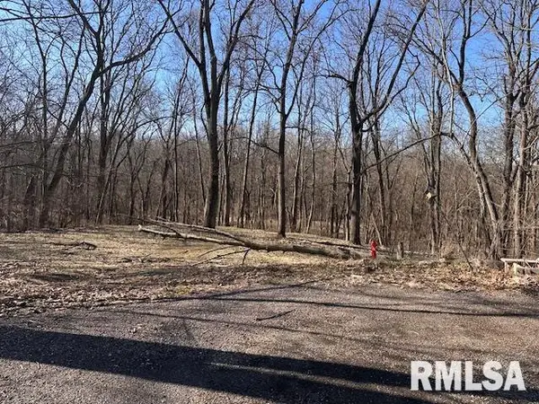 16 Londonderry Lane, Mackinaw, IL 61755