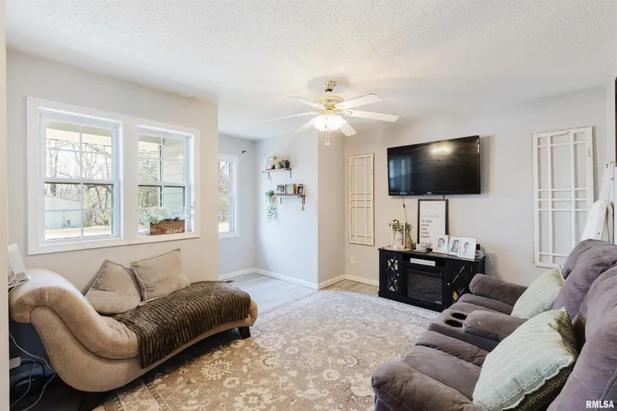 670 Marina Circle, Creal Springs, IL 62922 - #3