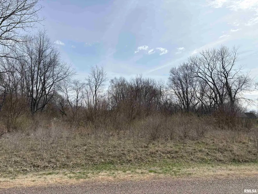 15312 N 7th Street, Chillicothe, IL 61523 - #3