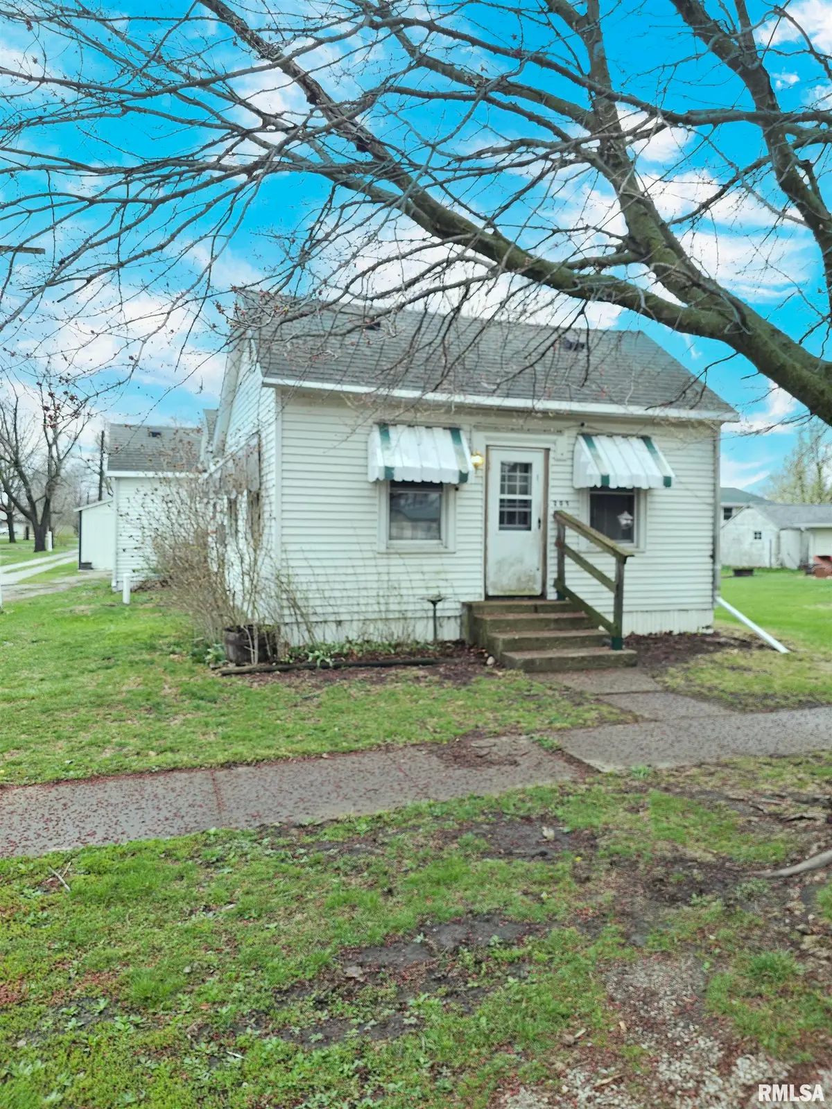 203 State Street, Benson, IL 61516 - #1