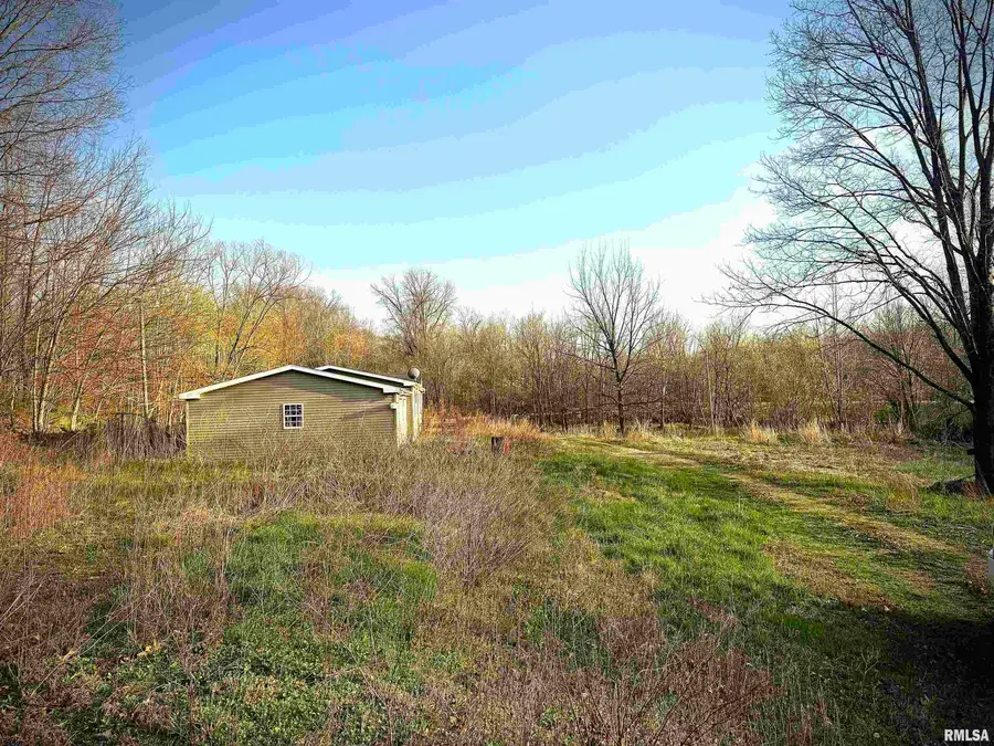 29 Push Lane, Jonesboro, IL 62952 - #3