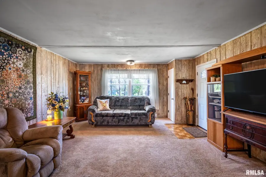 11648 Trolley Line Road, Marion, IL 62959 - #2