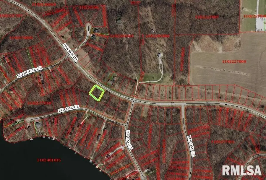 7311 Oak Run Drive, Dahinda, IL 61428 - #2