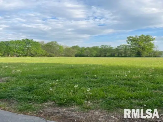 1316 Ritchey Drive, Marion, IL 62959-1316 - #1