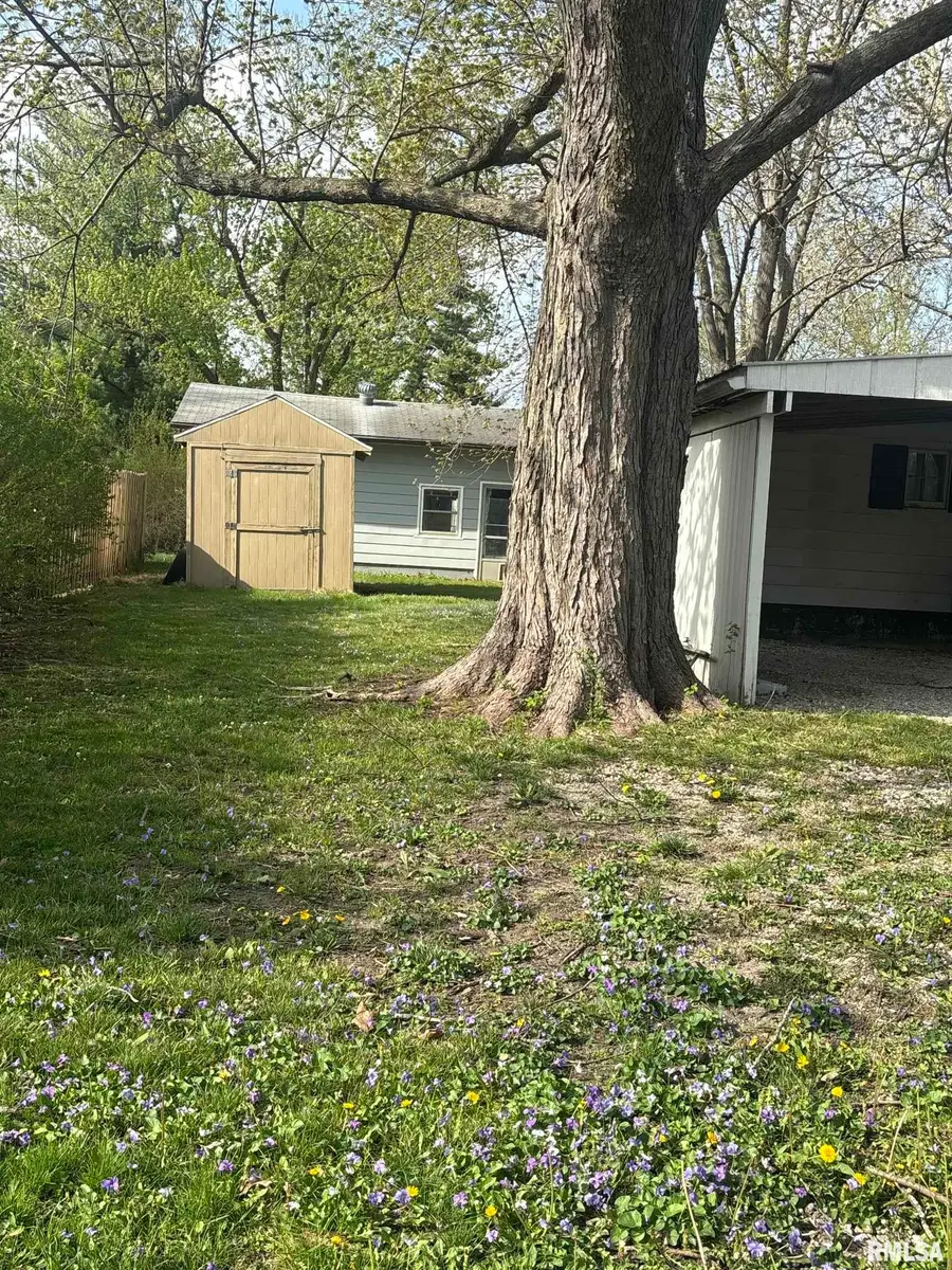 710 E Jackson Street, Cuba, IL 61427 - #2