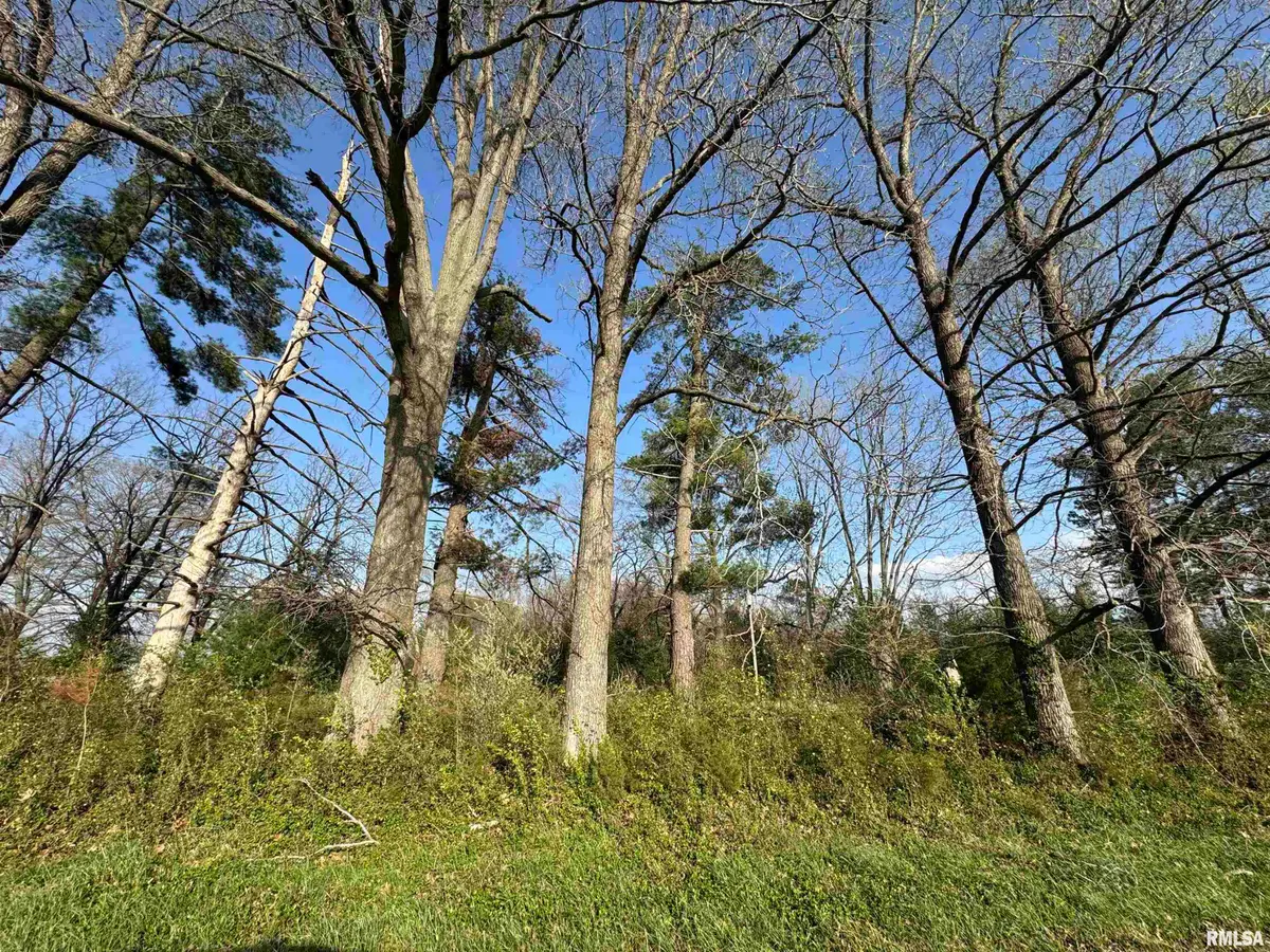 5528 Gannett Road, Mulkeytown, IL 62865 - #1