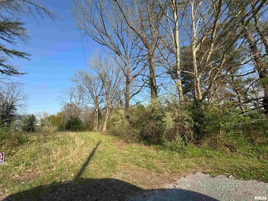 5528 Gannett Road, Mulkeytown, IL 62865 - #2