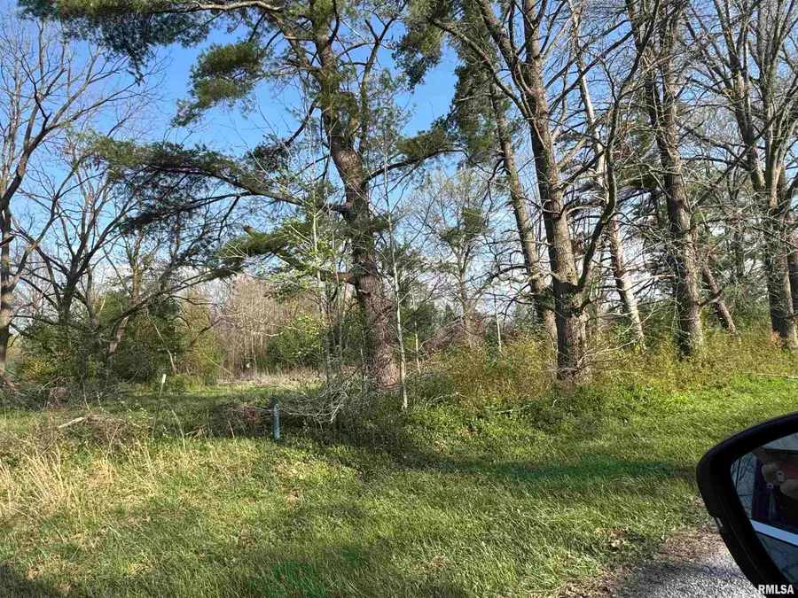 5528 Gannett Road, Mulkeytown, IL 62865 - #3