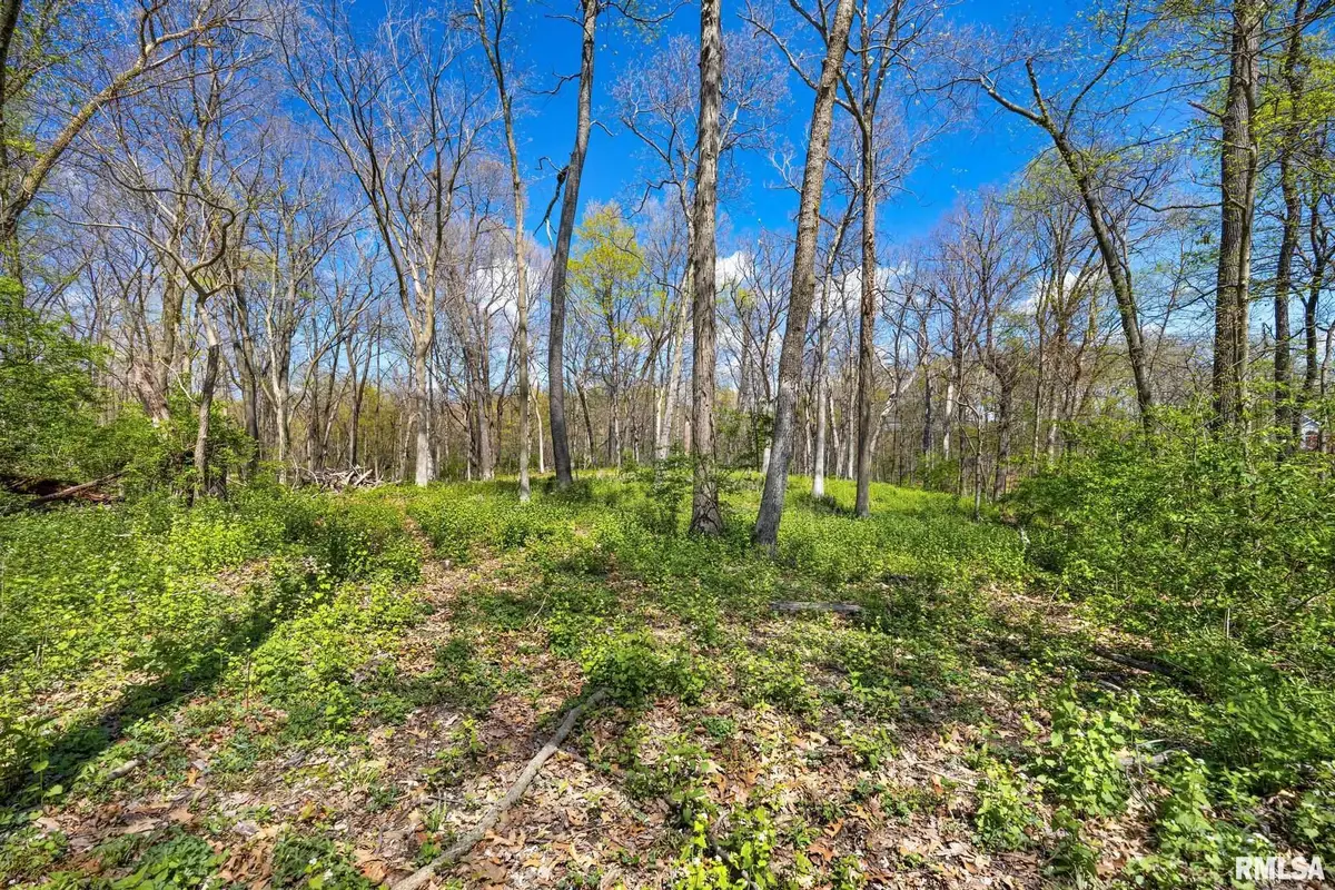 2611 Bartruff Lane, Pekin, IL 61554 - #1