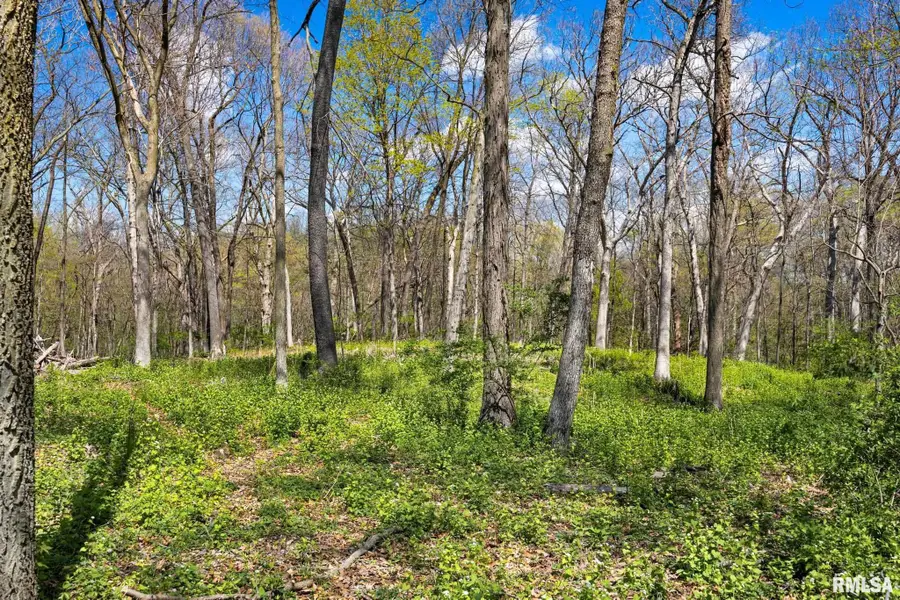 2611 Bartruff Lane, Pekin, IL 61554 - #2