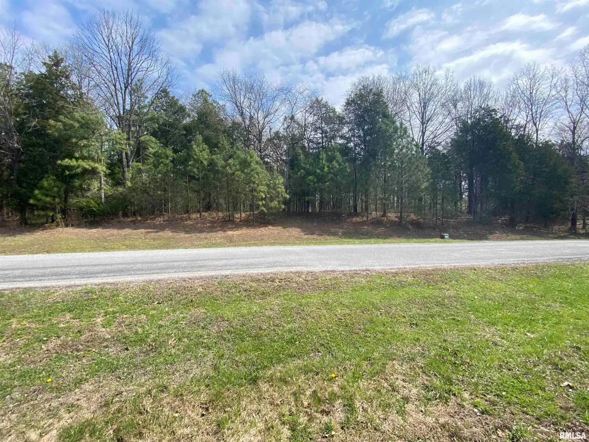 396 & 399 Parrish Ridge Road, Goreville, IL 62939 - #1