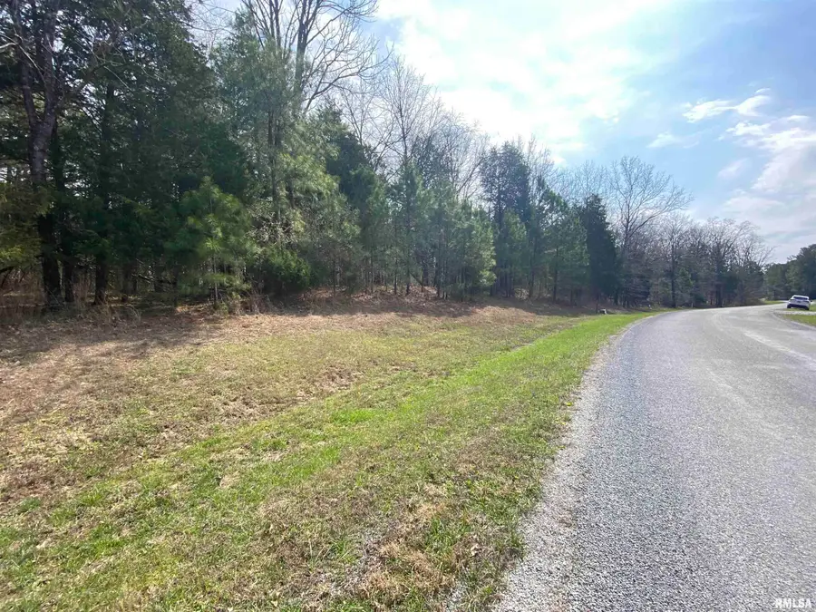 396 & 399 Parrish Ridge Road, Goreville, IL 62939 - #2