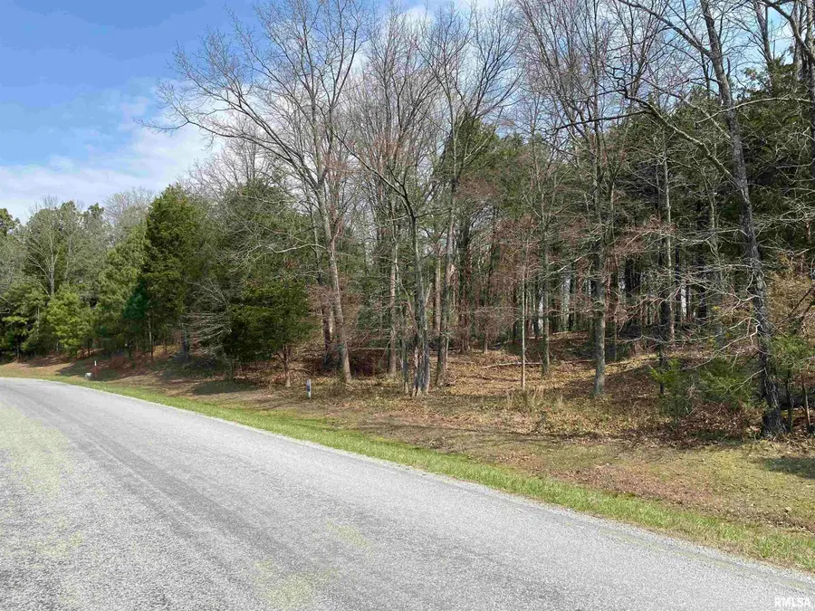 396 & 399 Parrish Ridge Road, Goreville, IL 62939 - #3