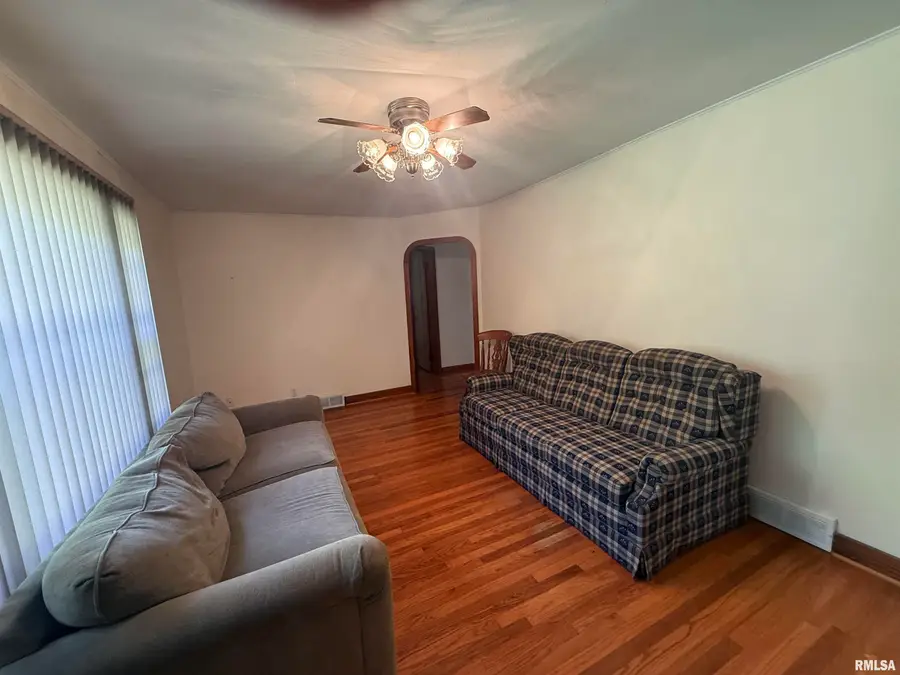 1250 Fair City Road, Jonesboro, IL 62952 - #3