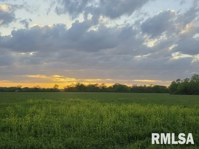 0 E Pony Road, Marietta, IL 61459 - #1
