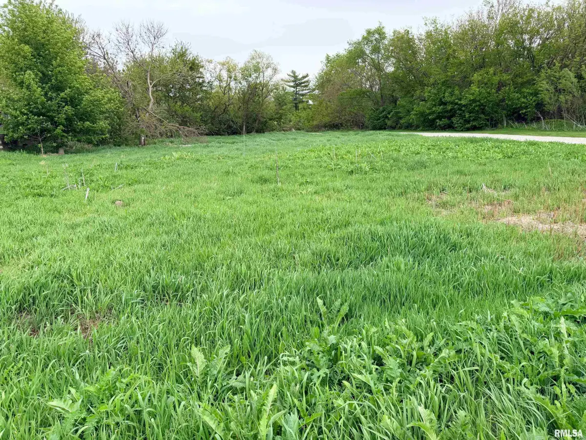 00 N Radnor Road, Peoria, IL 61615 - #1