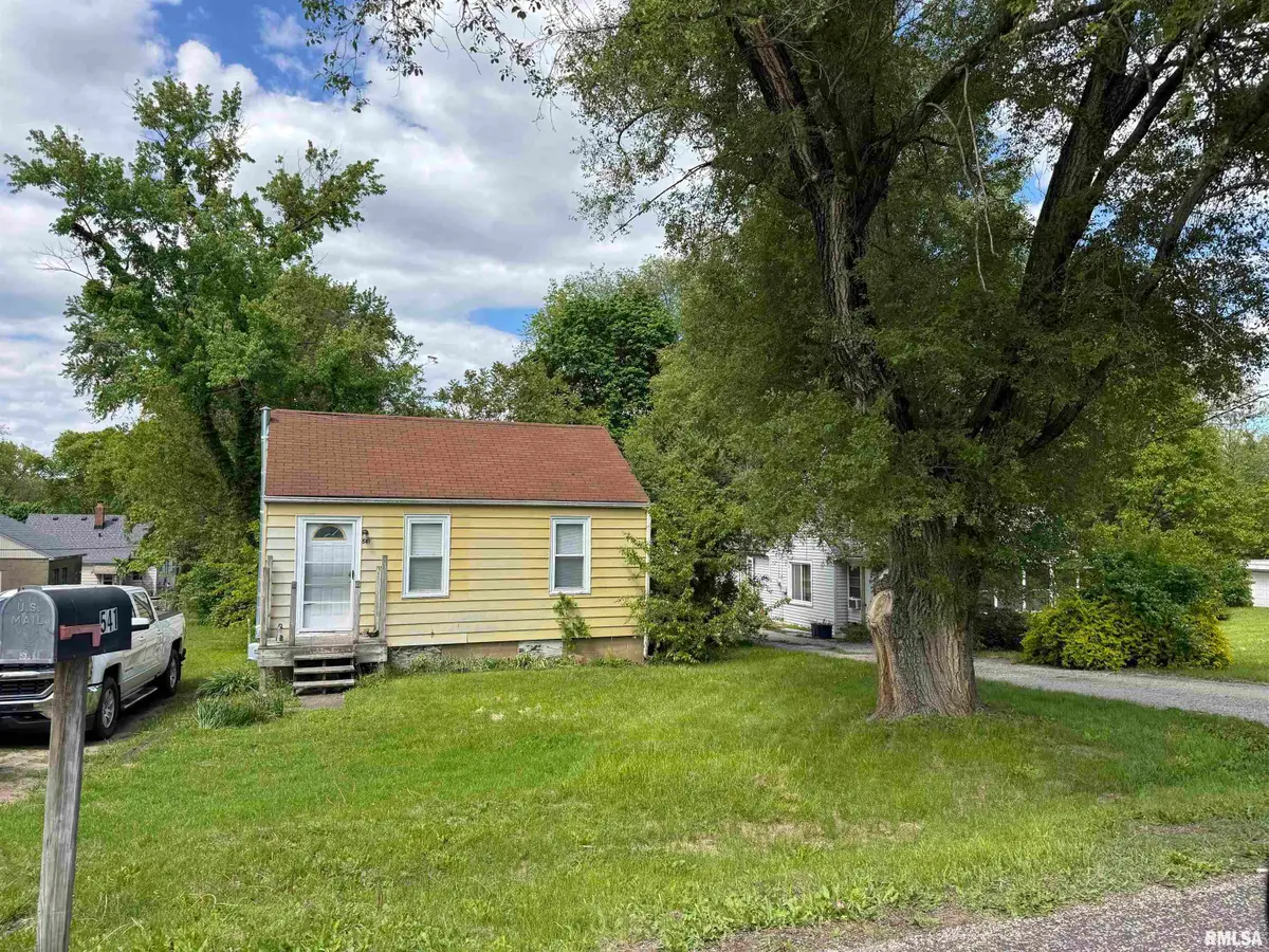 541 Carola Street, Creve Coeur, IL 61610 - #1