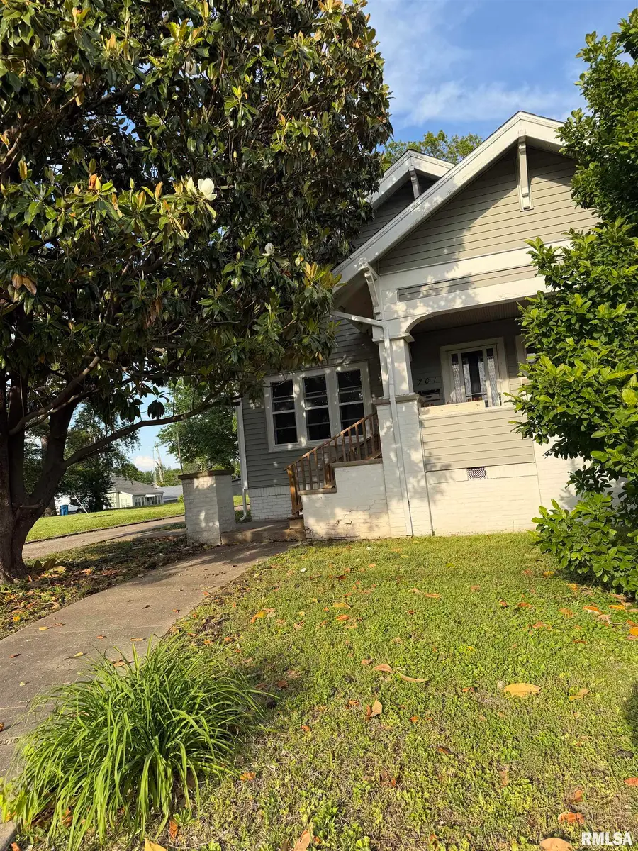 701 Follis Avenue, Johnston City, IL 62951 - #3