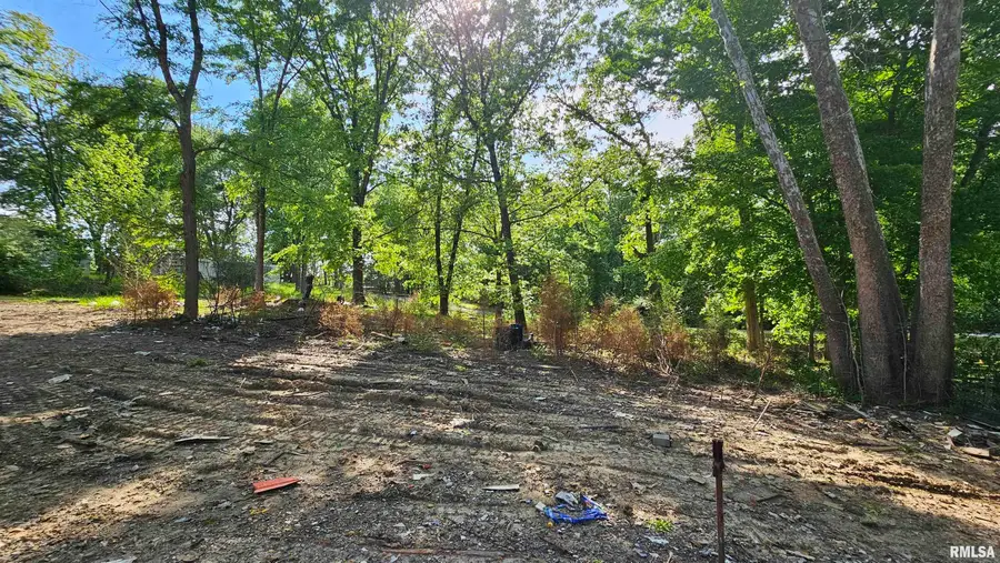 35 Sids Point Drive, Creal Springs, IL 62922 - #2