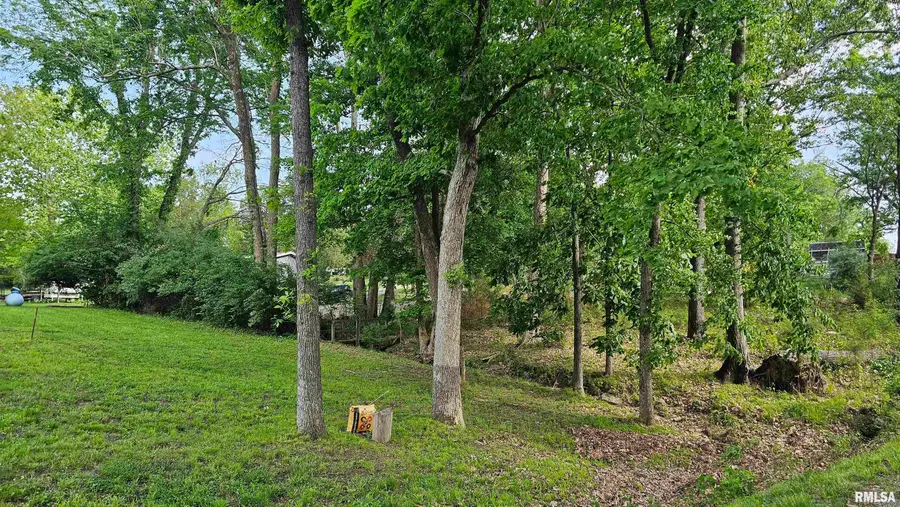 35 Sids Point Drive, Creal Springs, IL 62922 - #3
