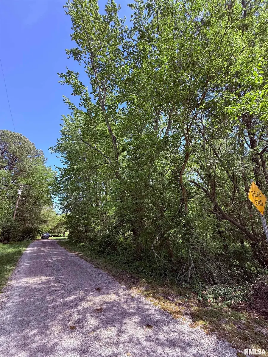 00 Wilson Street, West Frankfort, IL 62896 - #3