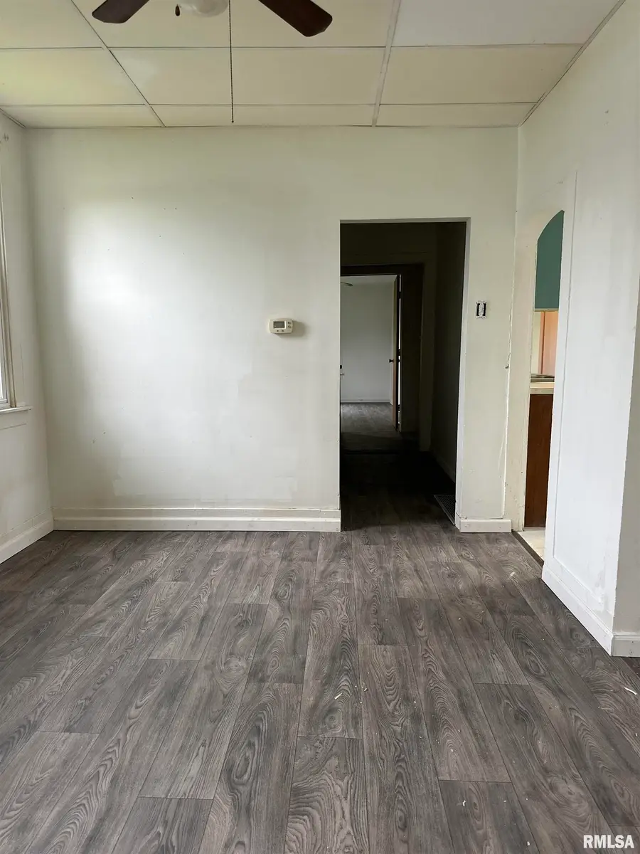 124 N Rile Street, Bushnell, IL 61422 - #3
