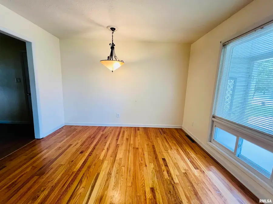 326 N Fly Avenue, Goreville, IL 62939 - #3