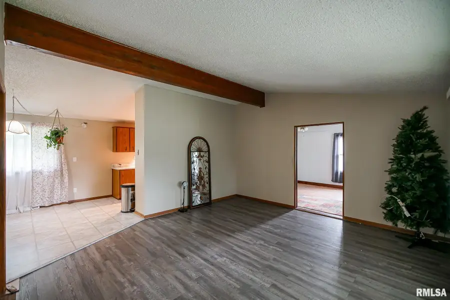 10146 Evergreen Drive, Manito, IL 61546 - #2