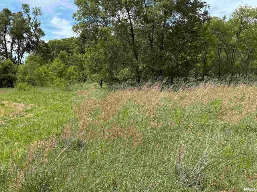 0 S Robinia Grove, Havana, IL 62644 - #2