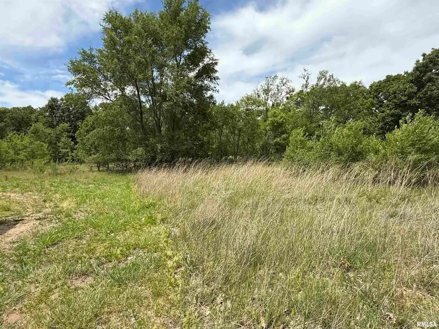 0 S Robinia Grove, Havana, IL 62644 - #3