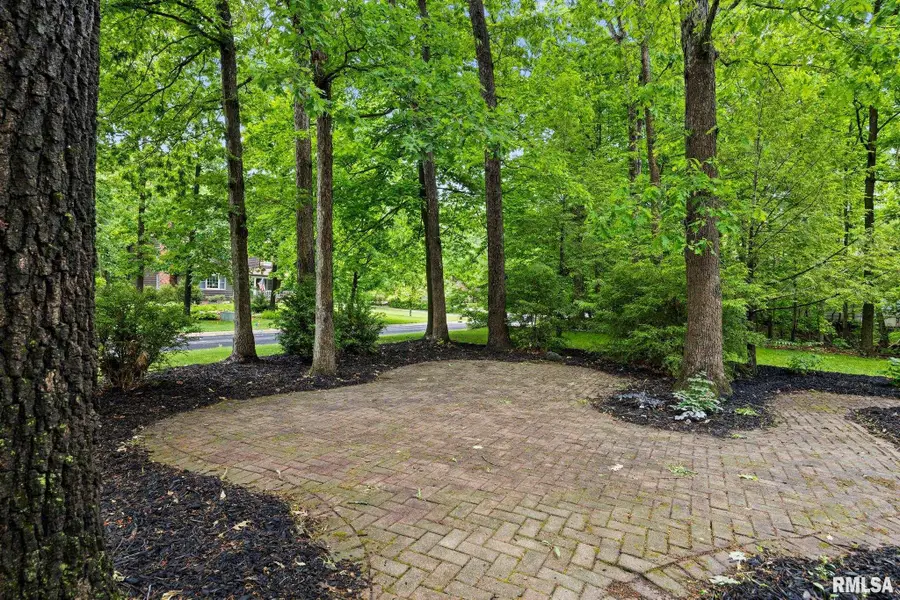 12227 N Wood Ridge Court, Dunlap, IL 61525 - #3