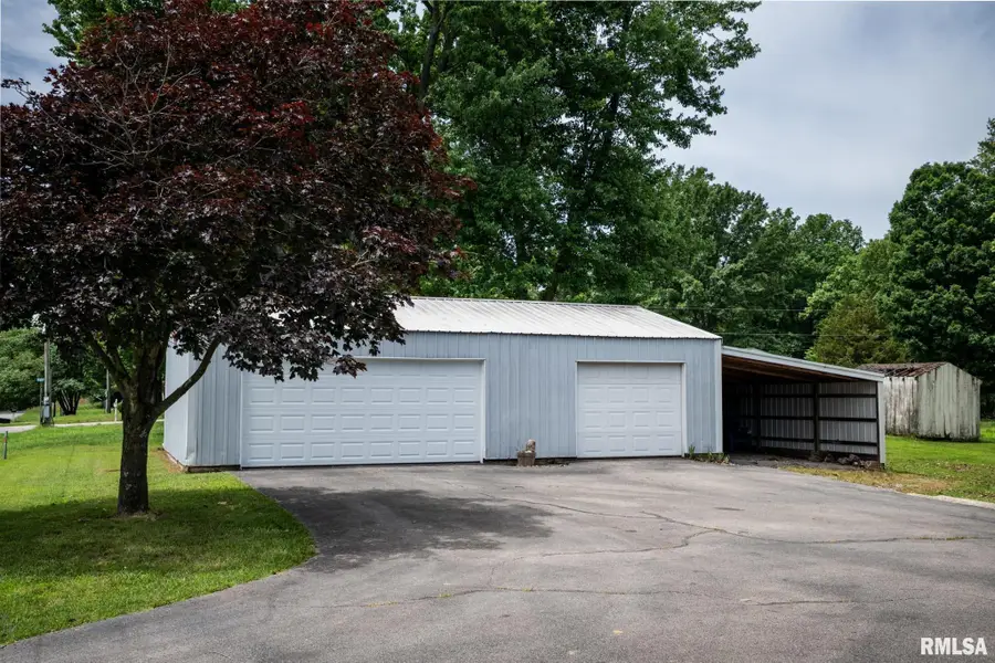 585 Timberwolf Drive, Goreville, IL 62939 - #2