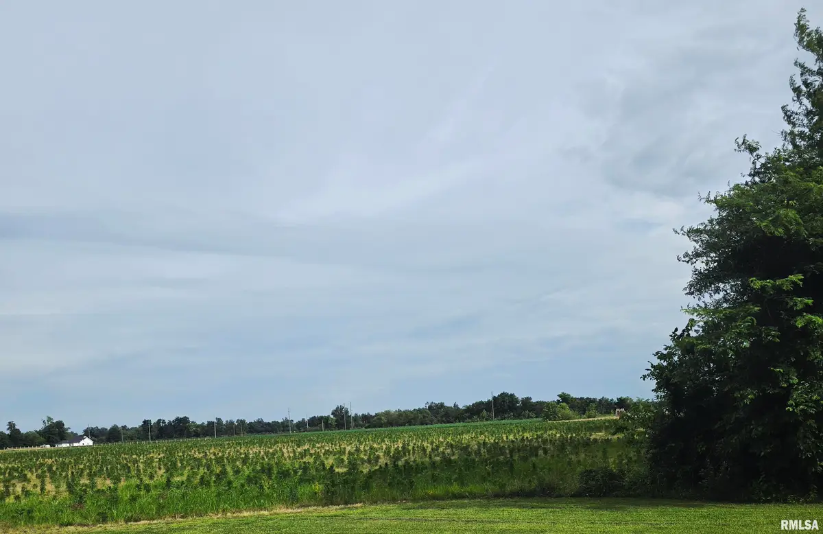 000 Neilson Road, Frankfort, IL 62959-3785 - #1