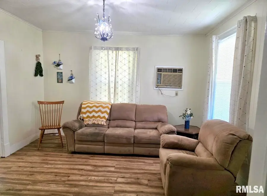 1414 Newton Avenue, Johnston City, IL 62951 - #2