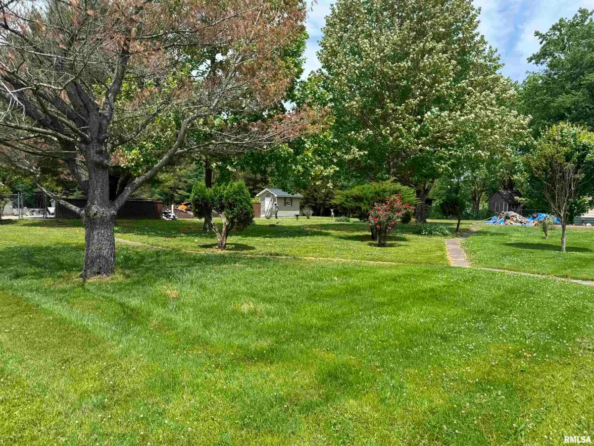 24103 State Route 127 Highway, Tamms, IL 62988 - #1