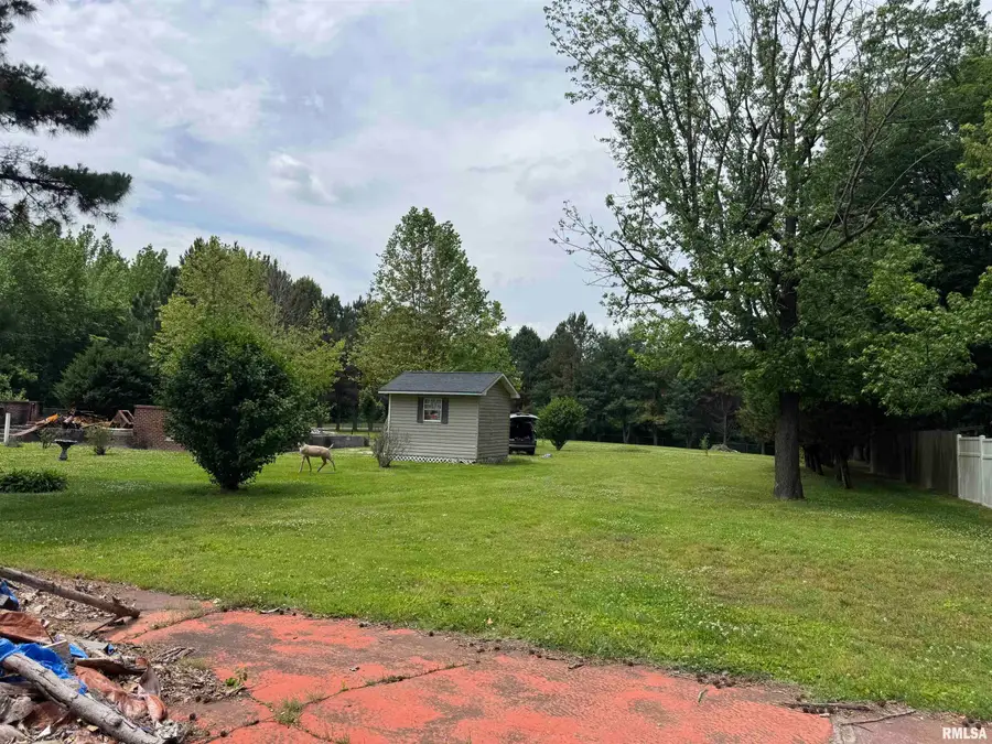 24103 State Route 127 Highway, Tamms, IL 62988 - #3