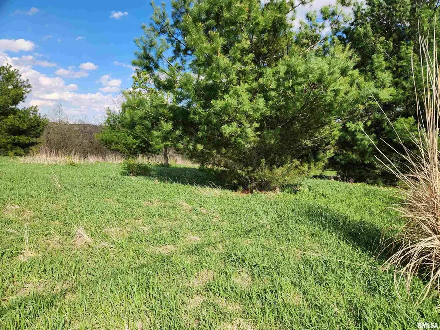 376 E Townhall Road, Metamora, IL 61548 - #2