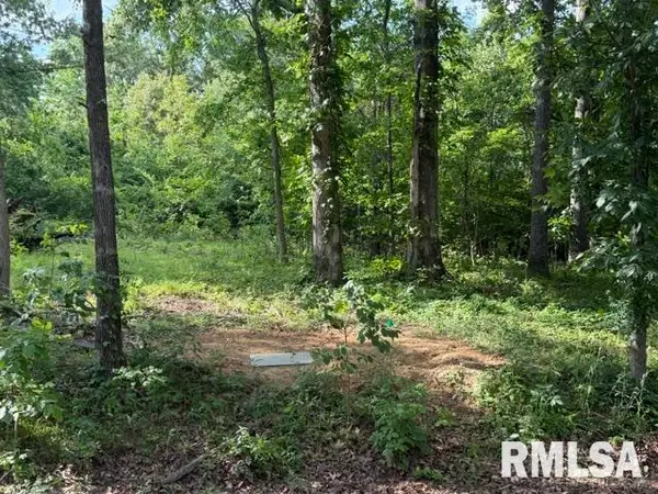 000 Wagon Creek Loop, Creal Springs, IL 62922