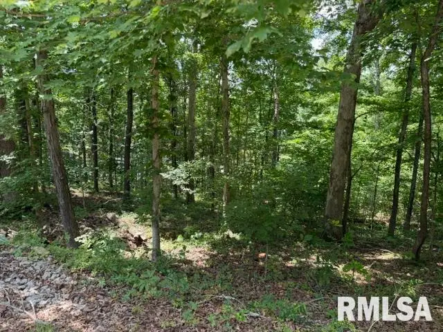 000 Wagon Creek Loop, Creal Springs, IL 62922 - #1